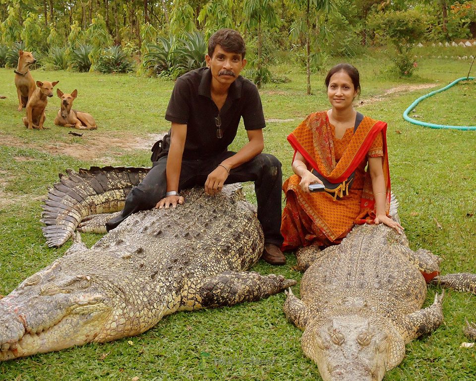 বাণিজ্যিক ভিত্তিতে কুমির চাষ এবং সফলতার গল্প